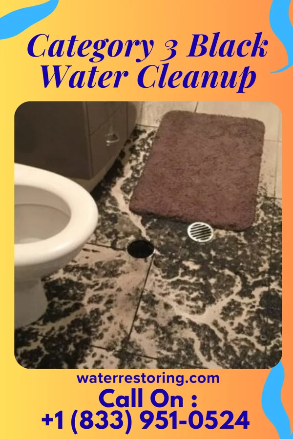 Category 3 Black Water Cleanup in South Russell, OH