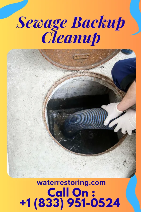Sewage Backup Cleanup in South Russell, OH