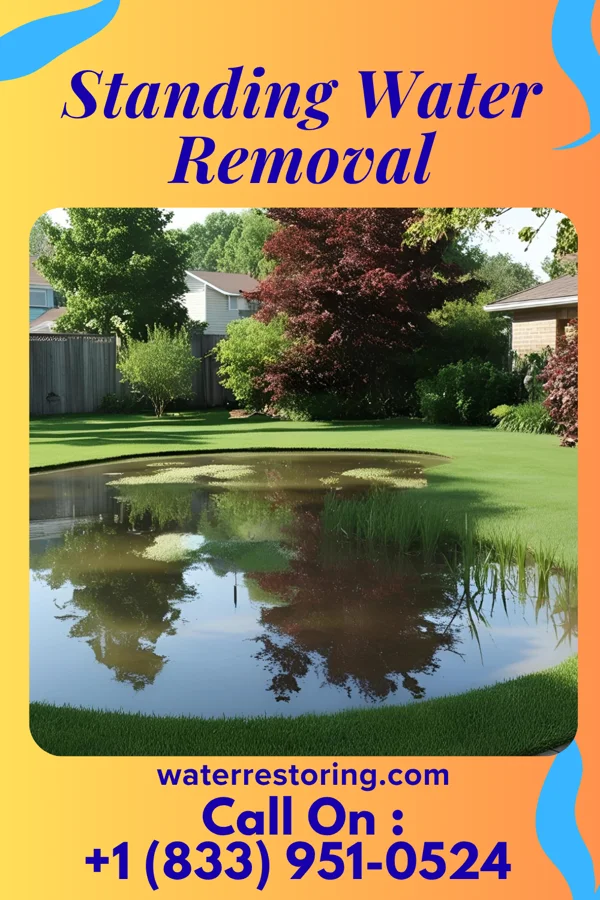 Standing Water Removal in South Russell, OH